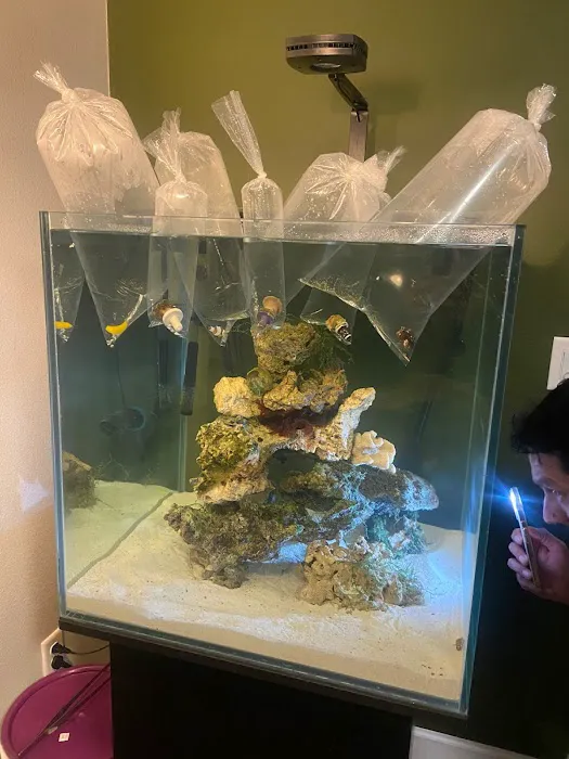 Sea King Aquariums Picture 3