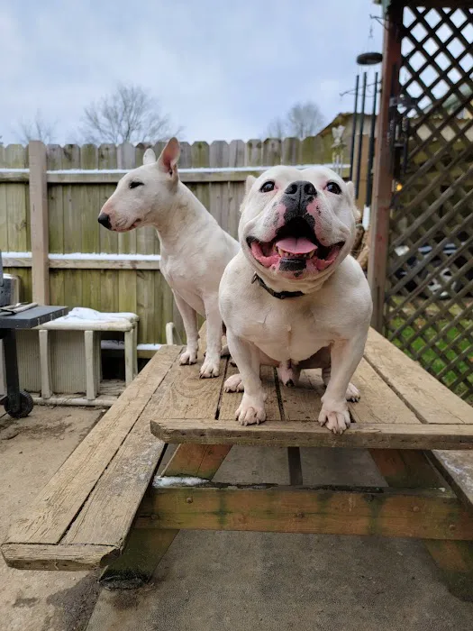 North Fork Veterinary Picture 1