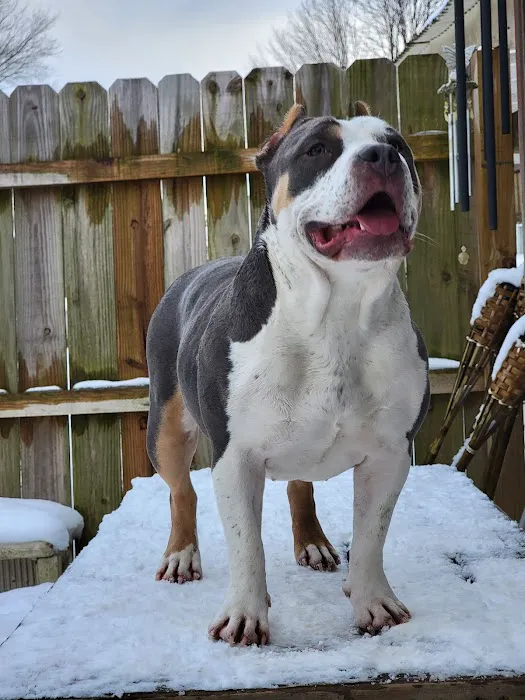 North Fork Veterinary Picture 8
