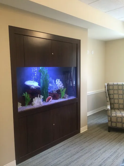 Clayton Aquarium Corporation Picture 7