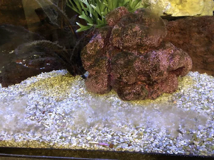 Clayton Aquarium Corporation Picture 6