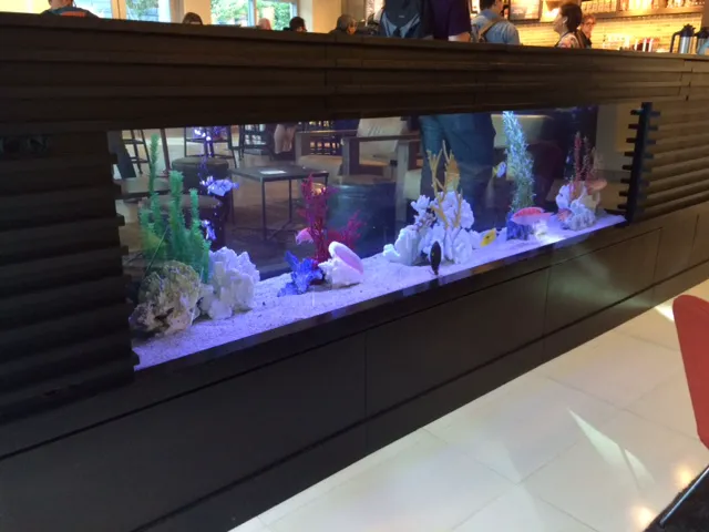 Clayton Aquarium Corporation Picture 10