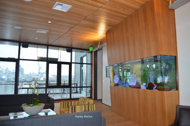 Clayton Aquarium Corporation Picture 2