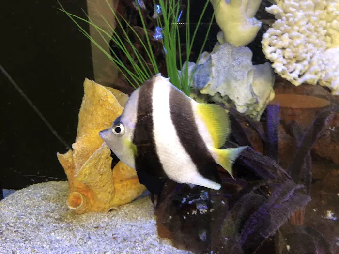Clayton Aquarium Corporation Picture 8