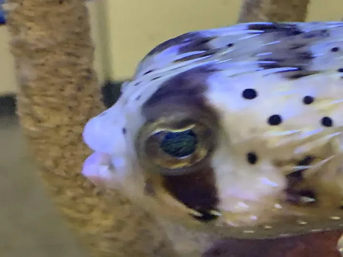 Clayton Aquarium Corporation Picture 1
