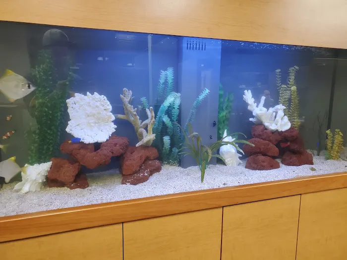 Clayton Aquarium Corporation Picture 4