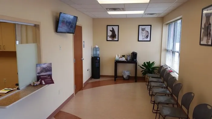 Jefferson Animal Clinic Picture 10