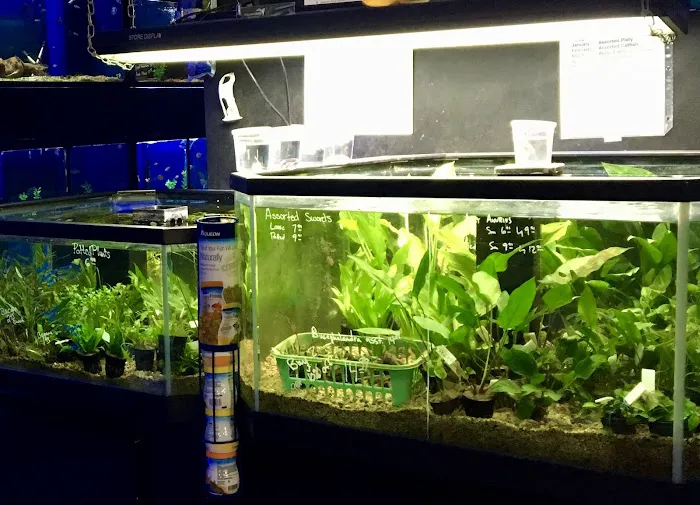 Sierra Fish & Pets Picture 5