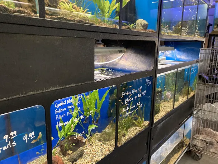 Sierra Fish & Pets Picture 7