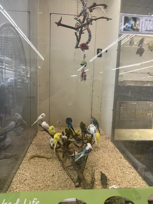 Sierra Fish & Pets Picture 4