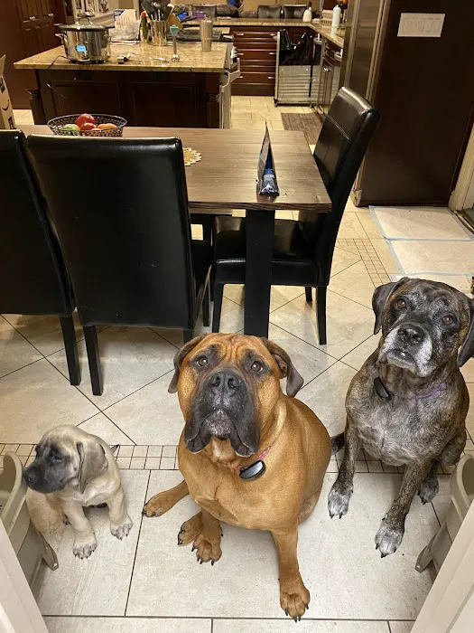 Harts Run Veterinary Hospital Picture 8