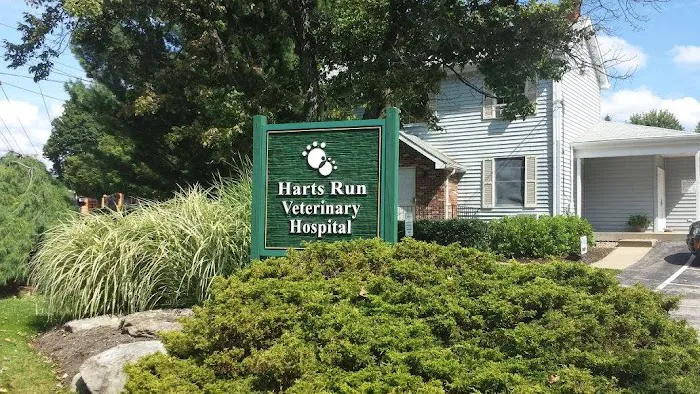 Harts Run Veterinary Hospital Picture 9