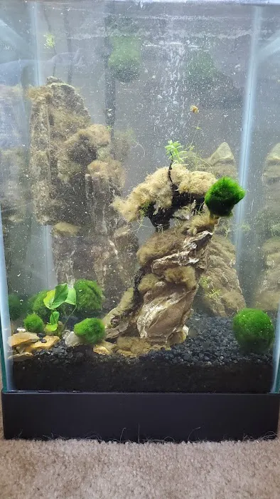 Petco Picture 6