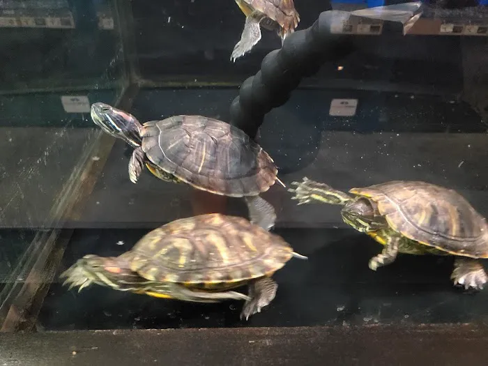 Petco Picture 10