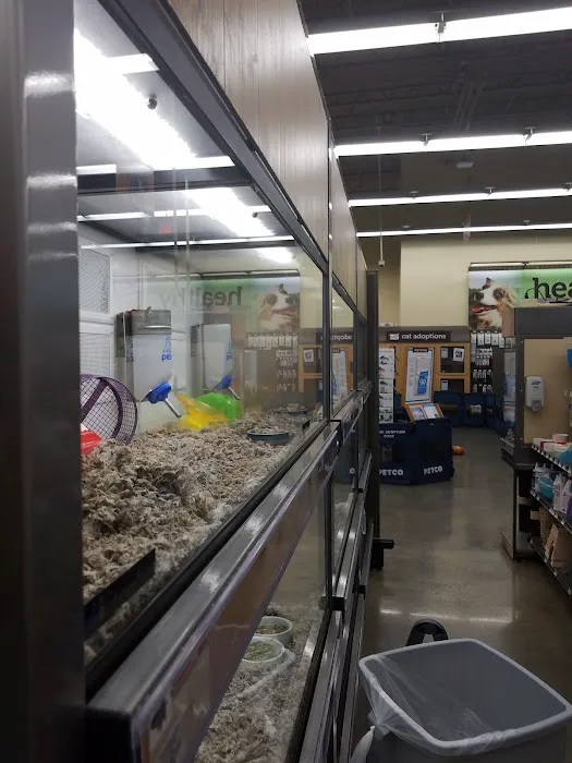 Petco Picture 2