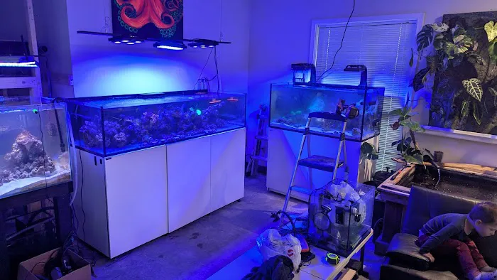 Kraken Reef Aquatics Picture 4