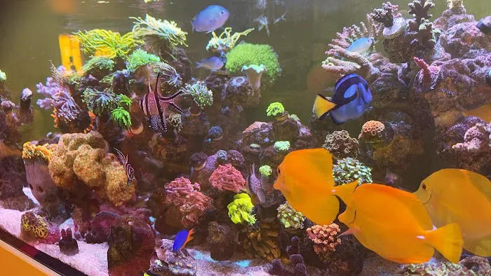 Kraken Reef Aquatics Picture 1