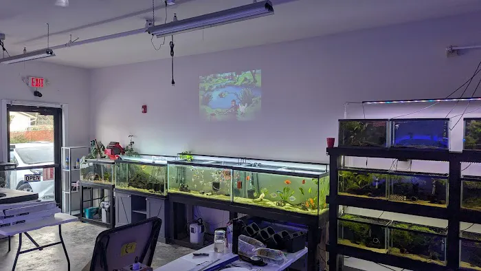 Kraken Reef Aquatics Picture 7