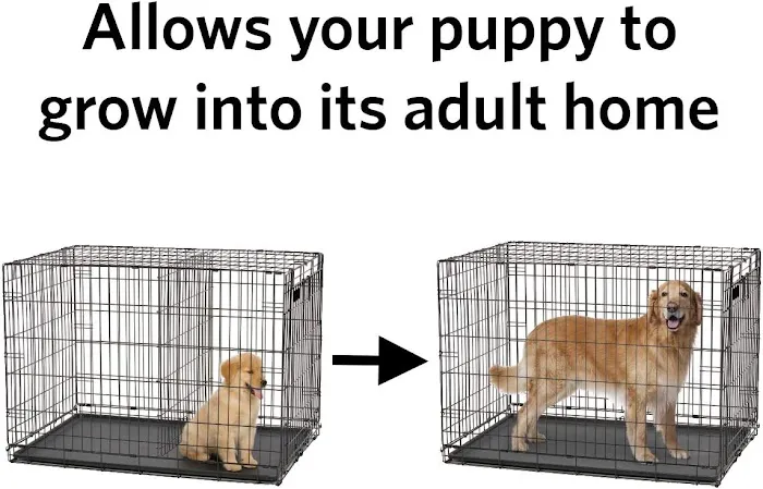 XL Canine Crates: Stylish, Durable Dog Crates for Large Breeds. Secure Kennels, Spacious Design, Portable Comfort. Picture 1