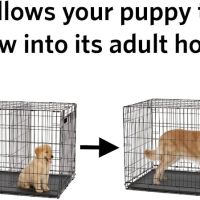 XL Canine Crates: Stylish, Durable Dog Crates for Large Breeds. Secure Kennels, Spacious Design, Portable Comfort. ico