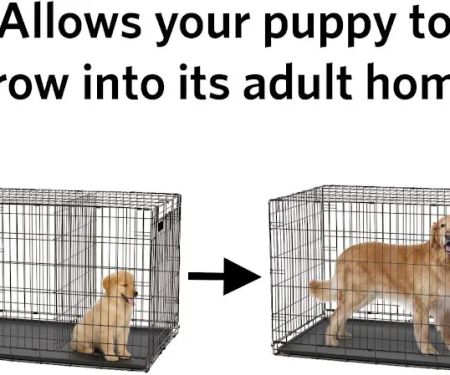 XL Canine Crates: Stylish, Durable Dog Crates for Large Breeds. Secure Kennels, Spacious Design, Portable Comfort.
