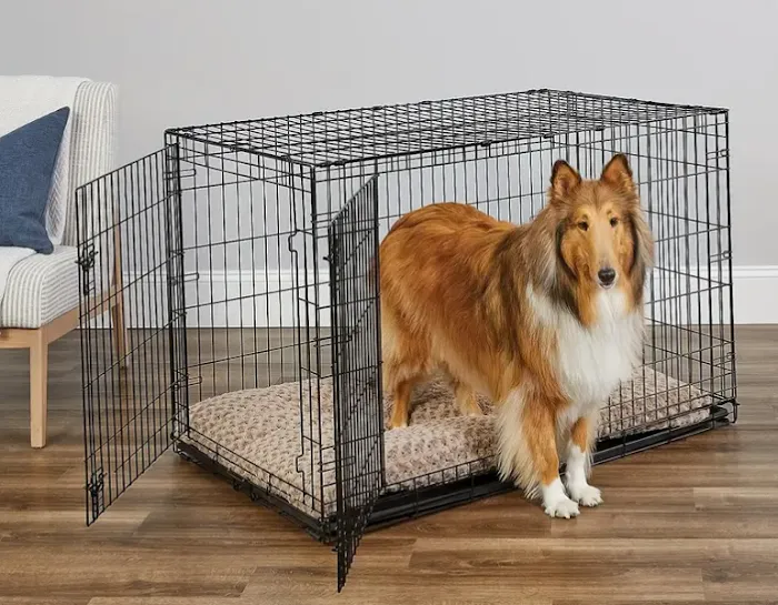 XL Canine Crates: Stylish, Durable Dog Crates for Large Breeds. Secure Kennels, Spacious Design, Portable Comfort. Picture 4