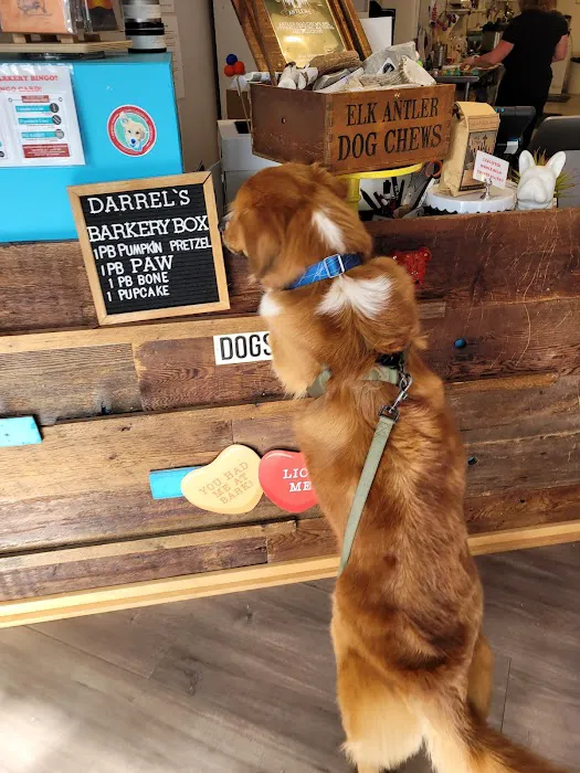 The Seattle Barkery Picture 1