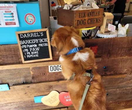 The Seattle Barkery