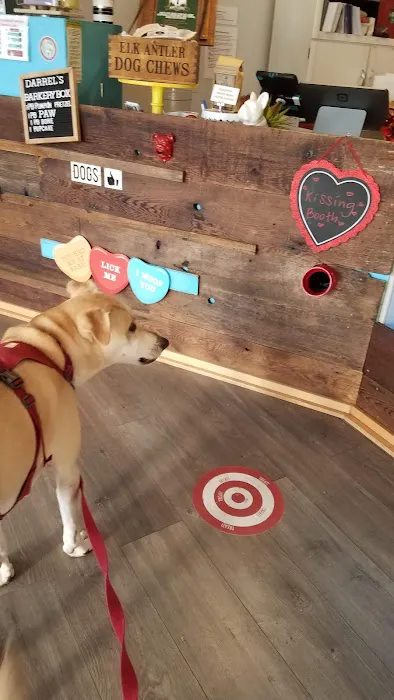 The Seattle Barkery Picture 6