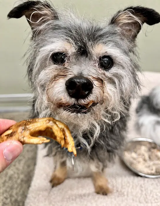 The Seattle Barkery Picture 3