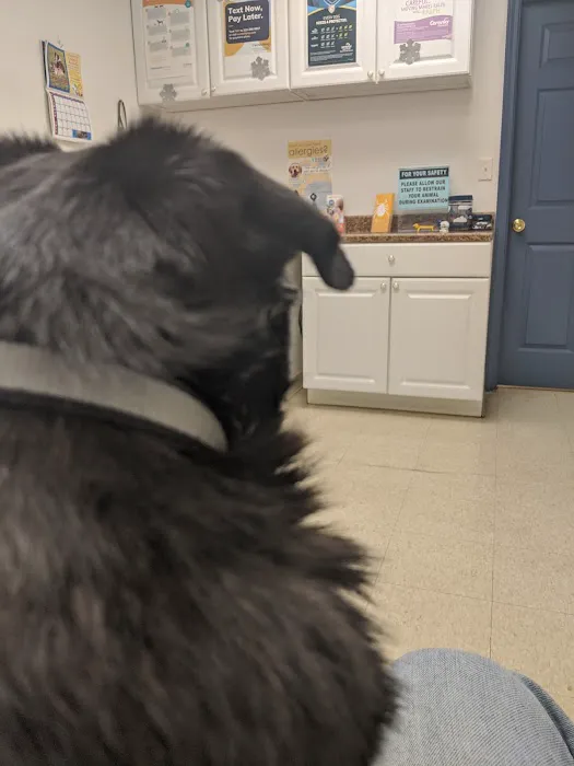 Animal Health Services Picture 4