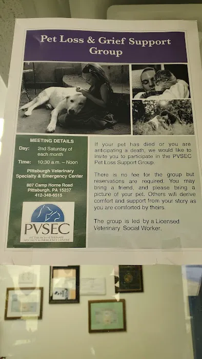 Animal Health Services Picture 5