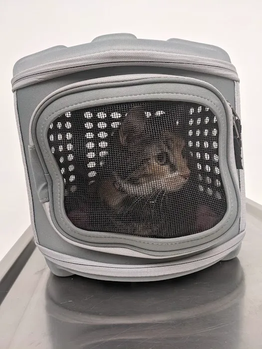 Animal Health Services Picture 3
