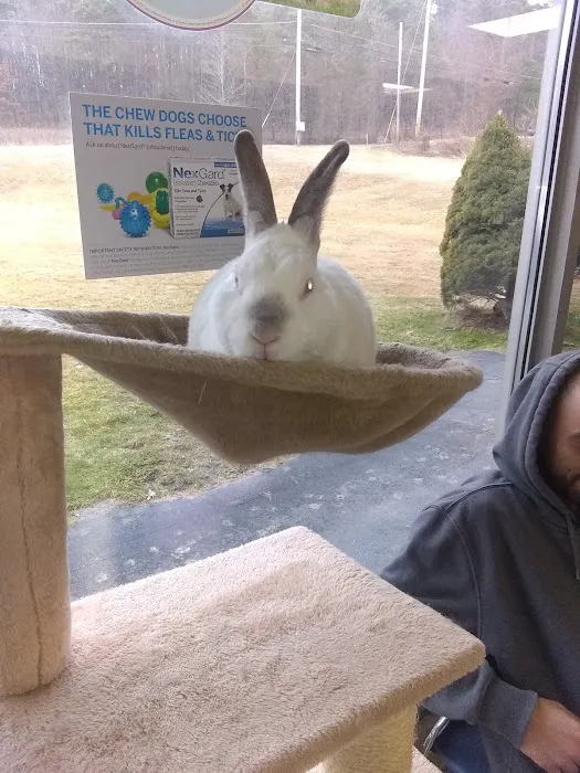 Animal Health Services Picture 9