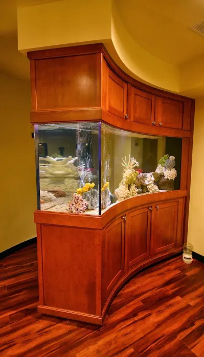 Aquarium Concepts Picture 7
