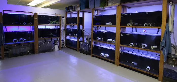 Aquarium Concepts Picture 2