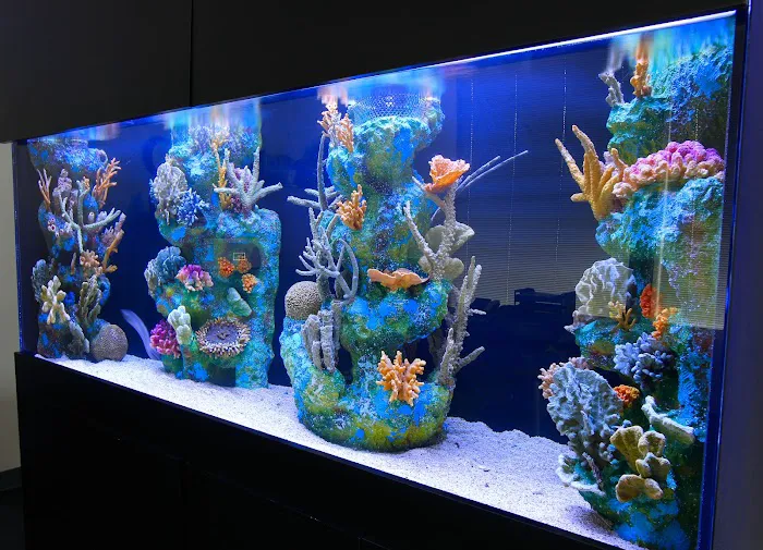 Aquarium Concepts Picture 1