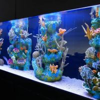 Aquarium Concepts ico