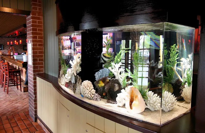 Aquarium Concepts Picture 3