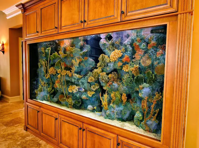 Aquarium Concepts Picture 6