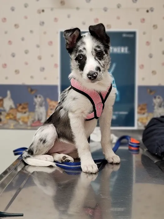 DuBois Veterinary Clinic Picture 4