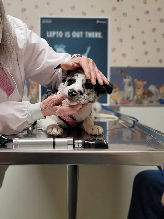 DuBois Veterinary Clinic Picture 1