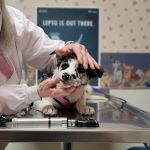 DuBois Veterinary Clinic