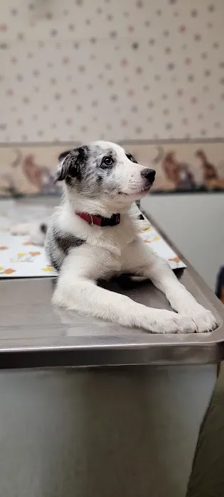 DuBois Veterinary Clinic Picture 2