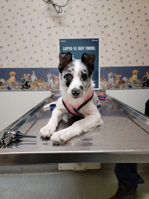 DuBois Veterinary Clinic Picture 9