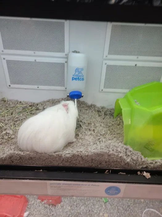 Petco Picture 8