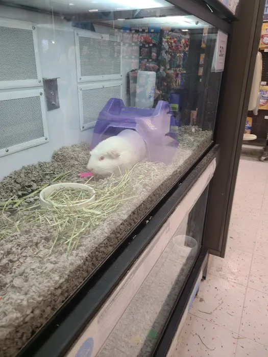 Petco Picture 5
