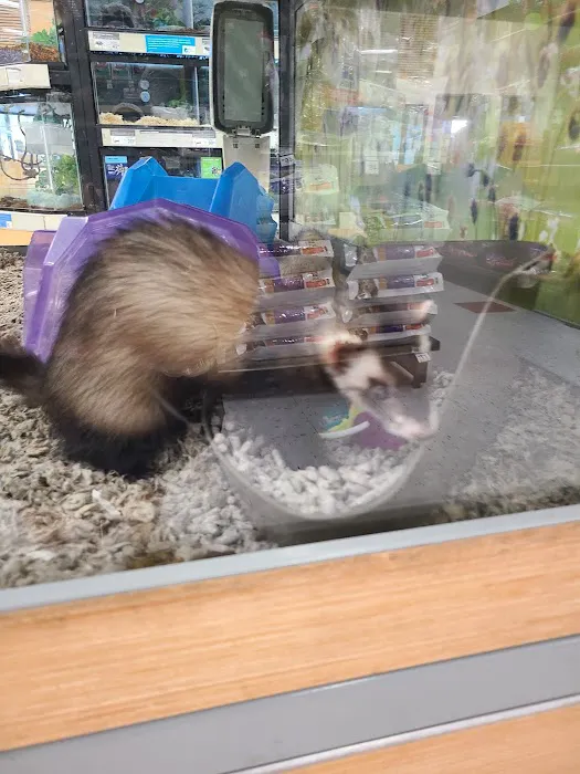 Petco Picture 3
