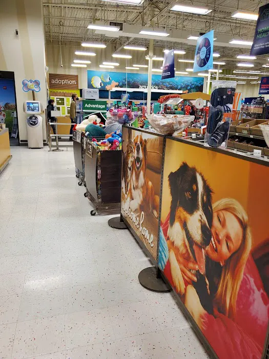 Petco Picture 4