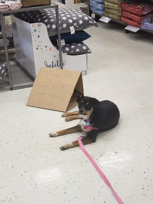 Petco Picture 10